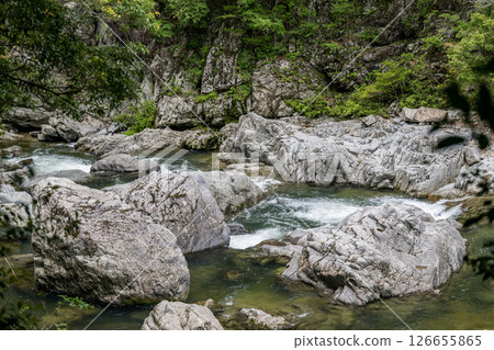 Beautiful green foliage and clear streams 126655865