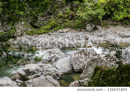 Beautiful green foliage and clear streams Beautiful green foliage and clear streams 126655869