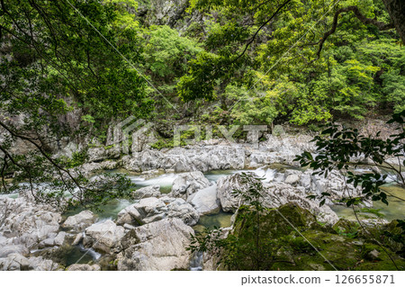 Beautiful green foliage and clear streams Beautiful green foliage and clear streams 126655871