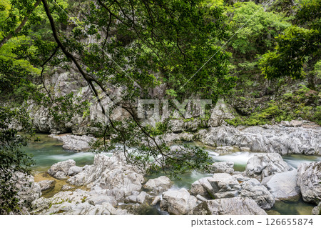 Beautiful green foliage and clear streams Beautiful green foliage and clear streams 126655874