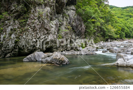 美麗的綠葉和清澈的溪流 美麗的綠葉和清澈的溪流 126655884