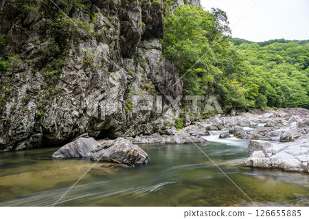 Beautiful green foliage and clear streams Beautiful green foliage and clear streams 126655885
