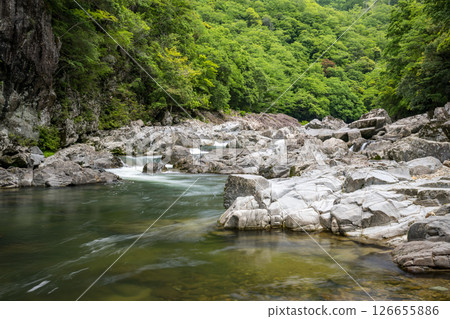 Beautiful green foliage and clear streams Beautiful green foliage and clear streams 126655886