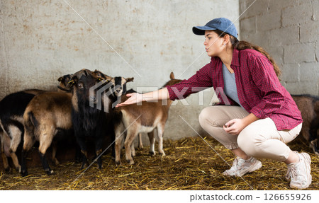 Young female farm worker feeding goats 126655926