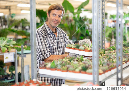 Man seller holding cactus pots in his hand in flower shop Man seller holding cactus pots in his hand in flower shop 126655934