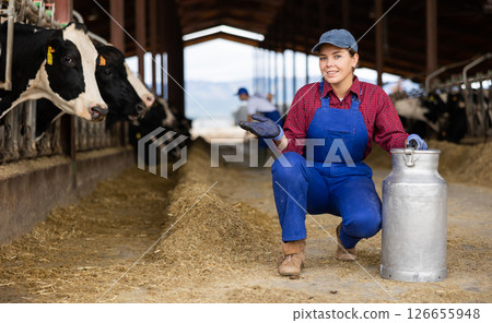 Female owner with milk can standing in stall on background with herd of cows 126655948