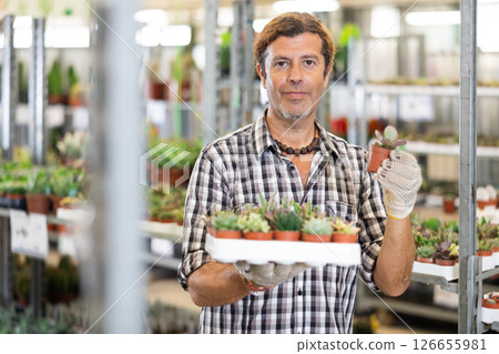 Positive man choosing potted succulents at flower department of hypermarket 126655981