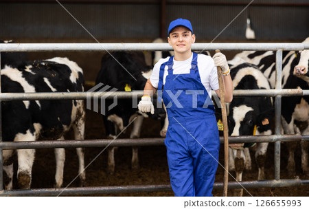 Skilled positive young male farmworker standing with rake while near stalls with cows in cowshed Skilled positive young male farmworker standing with rake while near stalls with cows in cowshed 126655993