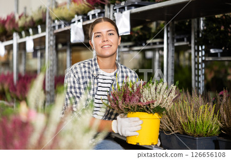 Young woman choosing blooming potted heather at flower market Young woman choosing blooming potted heather at flower market 126656108