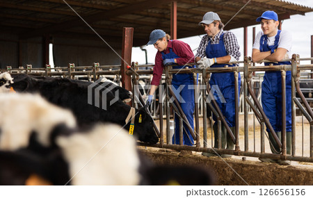 Man woman and boy farmers posing at dairy farm Man woman and boy farmers posing at dairy farm 126656156