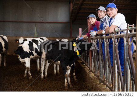 Farmers stand near paddock with calves 126656335