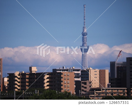 Evening view of Tokyo Skytree from Kawaguchi City 126657331