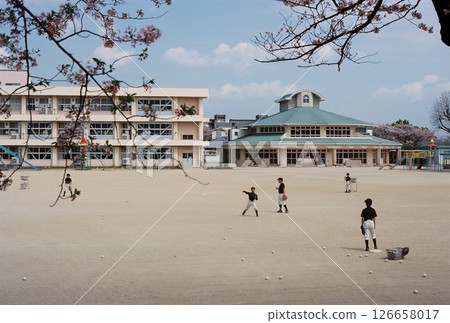 baseball baseball 126658017