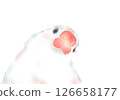 A close-up illustration of a Java sparrow in watercolor style 126658177