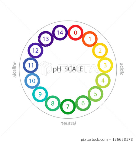 PH Scale. Acid and alkaline solution infographic. Chemical analysis or test. Vector illustration in flat style 126658178