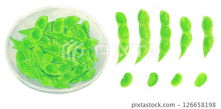 Analog watercolor illustration of edamame pods and beans on a plate 126658198