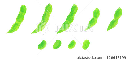 毛豆莢和豆子的模擬水彩插圖素材 126658199