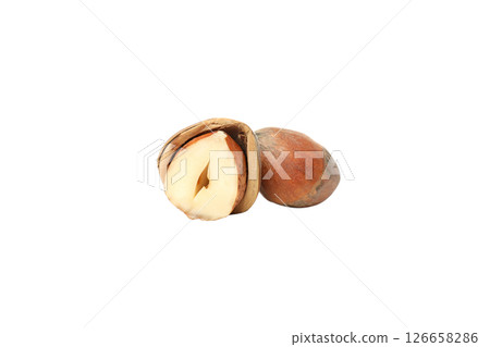 PNG, Whole and half of hazelnuts in shell , isolated on white background PNG, Whole and half of hazelnuts in shell , isolated on white background 126658286