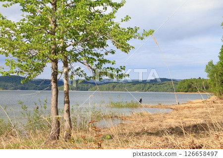 Early summer in Hokkaido: Lake Shumarinai with fresh greenery and trees by the lake Early summer in Hokkaido: Lake Shumarinai with fresh greenery and trees by the lake 126658497