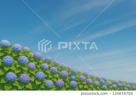 Hydrangea and blue sky 126658708