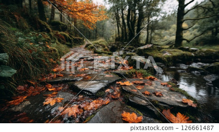 Autumnal Forest Path With Wet Stones and Fallen Leaves 126661487