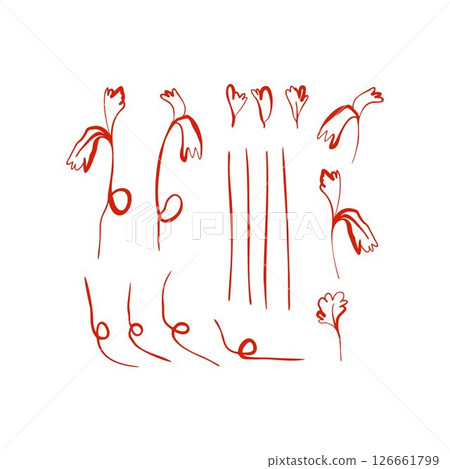 Herb elements set parsley and green leaves single line hand drawn illustration for frames borders compositions 126661799