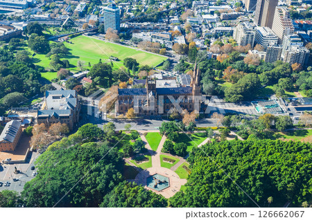 Sydney St Mary's Cathedral 126662067