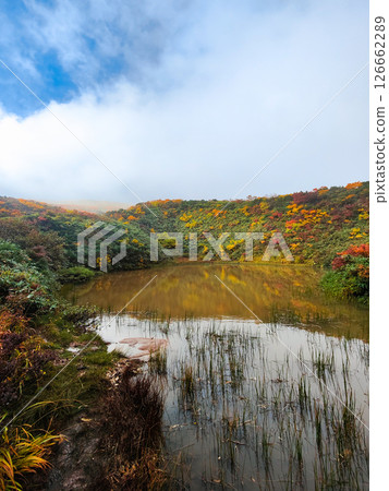 Autumn climbing at Mount Kurikoma (Ubunuma) Autumn climbing at Mount Kurikoma (Ubunuma) 126662289