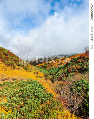 Climbing Mount Kurikoma in autumn (Ubunuma to Higashi-Kurikoma) 126662292
