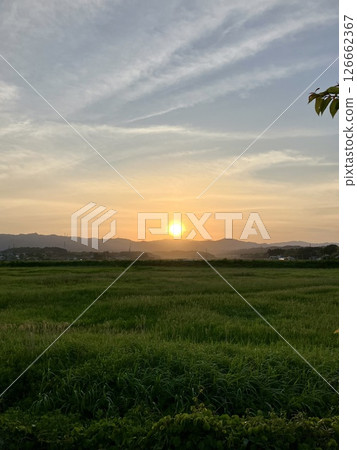 夕陽 126662367