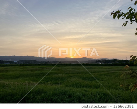 Setting sun 126662391