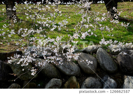 Takanezawa Genki Up Village Roadside Station #59 126662587