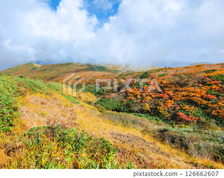 Climbing Mount Kurikoma in autumn (Ubunuma to Higashi-Kurikoma) 126662607