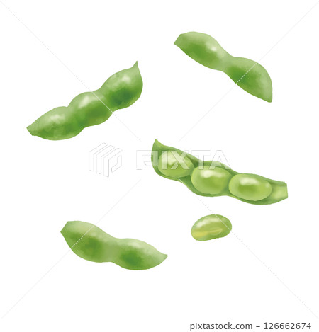 水彩風格:新鮮煮熟的毛豆,散裝,帶豆莢 水彩風格:新鮮煮熟的毛豆,散裝,帶豆莢 126662674