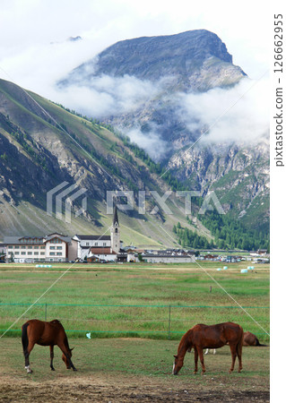 Two brown horses are grazing in a field near a mountain 126662955
