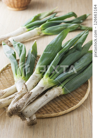 Shimonita洋蔥 126663164