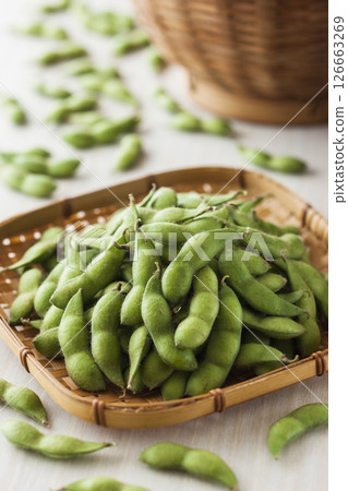 今天的豆子 126663269