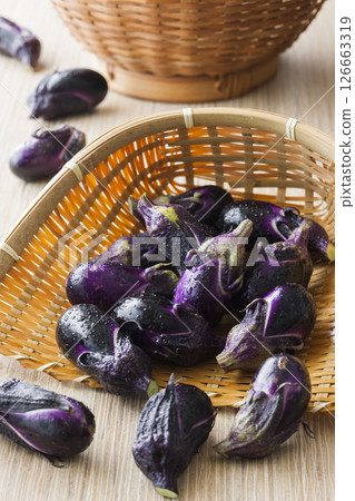 採摘的茄子 126663319