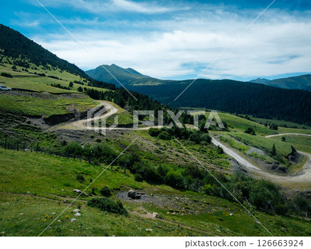 Aerial view of beautiful high altitude forest grassland mountain landscape Aerial view of beautiful high altitude forest grassland mountain landscape 126663924