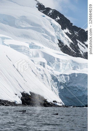 Snow and ice in Antarctica Snow and ice in Antarctica 126664039