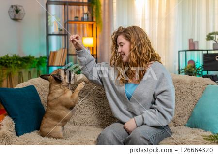 Young woman training pug dog on home sofa, pet standing on hind legs and posing with cute attention Young woman training pug dog on home sofa, pet standing on hind legs and posing with cute attention 126664320