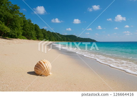 Summer beach with shells, blue sea and green forest scenery seen from a cat's point of view 126664416