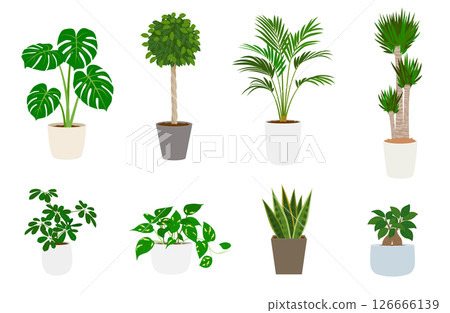 室內植物一套 126666139