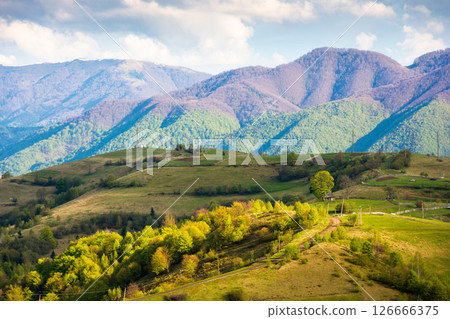 countryside landscape in spring. forested carpathian mountains with grassy rolling hills in evening light. village outskirts in transcarpathia region. blue sky with clouds countryside landscape in spring. forested carpathian mountains with grassy rolling hills in evening light. village outskirts in transcarpathia region. blue sky with clouds 126666375