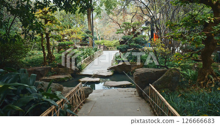 Chengdu, Sichuan, China. Walk Garden Area Of Wuhou Memorial Temple. Seniors Travel And Adventure. Green Foliage Bushes. Silence And Peace. Stream Flowing 126666683