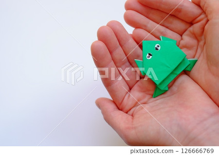 Origami Frog 126666769