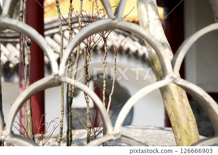 Enchoen Garden, Tottori Prefecture. A window with a pattern made up of curved lines on the wall. A cave can be seen in the background. 126666903