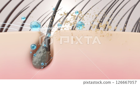 The shampoo ingredients wash away sebum and clean the pores of the scalp. The shampoo ingredients wash away sebum and clean the pores of the scalp. 126667057