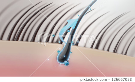 A scalp showing a healthy scalp environment leading to thick, healthy hair growth 126667058