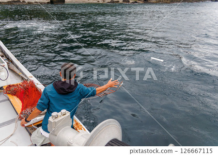 使用刺網捕捉龍蝦。漁網在傍晚布下,隔天清晨收起。伊豆半島加茂區南伊豆町中木埼三海水浴場 2024 使用刺網捕捉龍蝦。漁網在傍晚布下,隔天清晨收起。伊豆半島加茂區南伊豆町中木埼三海水浴場 2024 126667115